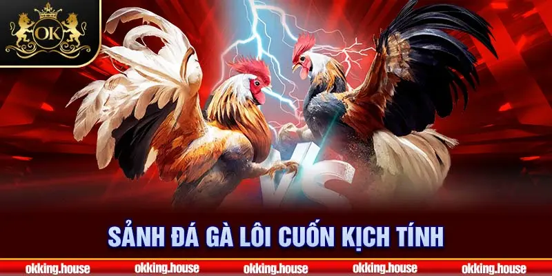 Sảnh đá gà lôi cuốn kịch tính